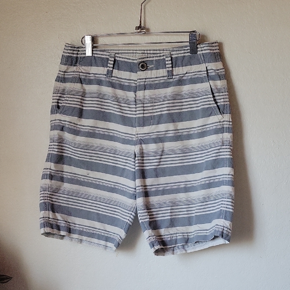 American Eagle Outfitters Classic Striped Gray Men's Shorts Size 30